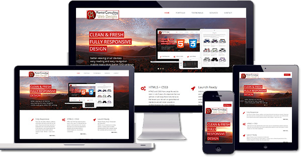 Our Company Website - customised and responsive